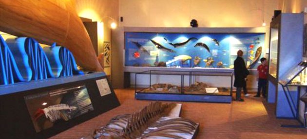 Museo  di Castell'Arquato