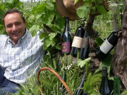 Cantina Loschi a Castell'Arquato